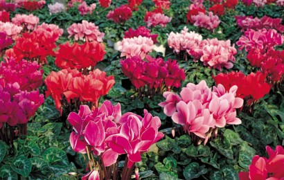 養(yǎng)護(hù)管理主要包括幾個(gè)方面的工作？