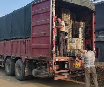 發(fā)貨現(xiàn)場