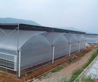 連棟溫室