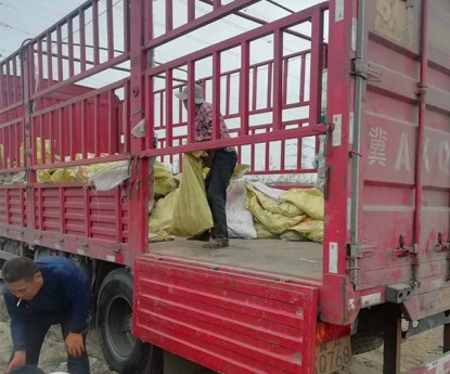 發(fā)貨現(xiàn)場