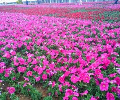 牽?；ɑê?></div>

                <div   id=