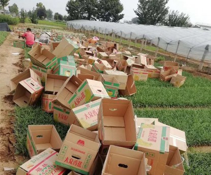 發(fā)貨現(xiàn)場