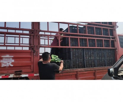 發(fā)貨現(xiàn)場