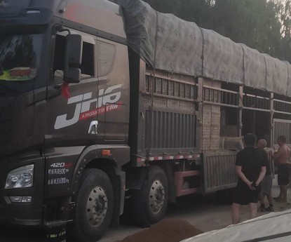 發(fā)貨現(xiàn)場