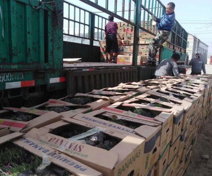 發(fā)貨現(xiàn)場