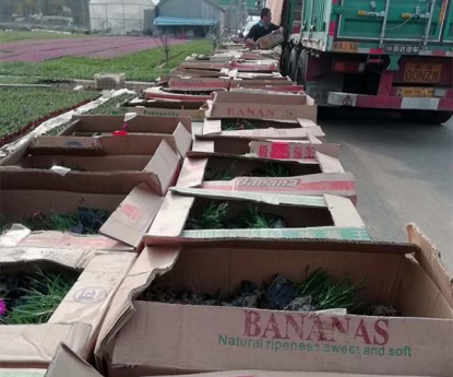 發(fā)貨現(xiàn)場