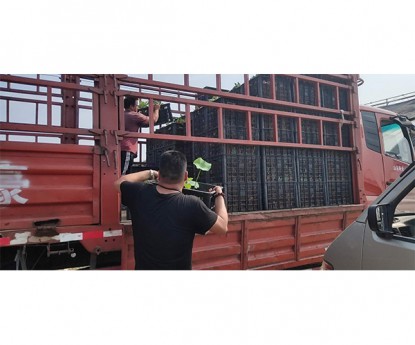 發(fā)貨現(xiàn)場