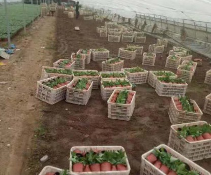 發(fā)貨現(xiàn)場