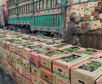 發(fā)貨現(xiàn)場