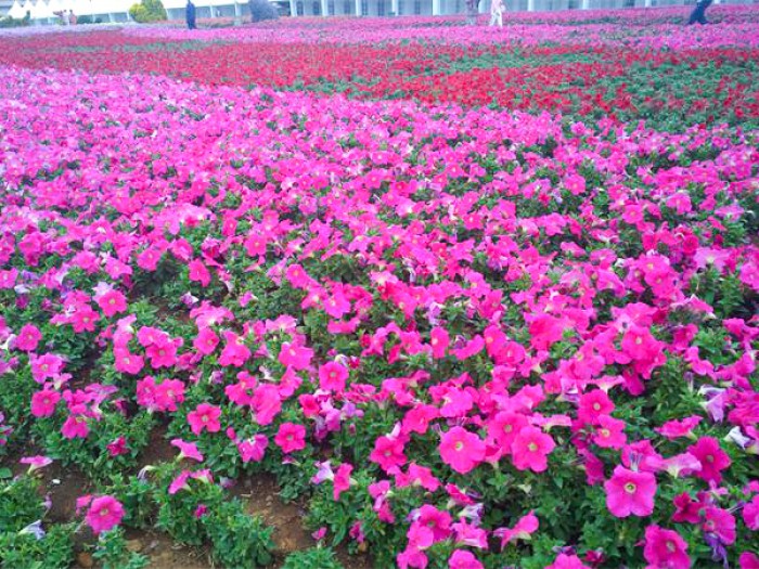 牽?；ɑê? style=