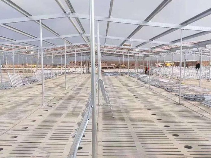 畜牧鋼結構溫室